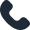 Phone Icon